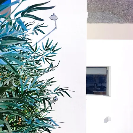 Seascape Penthouse - Special Places Appartamento Funchal (Madeira)
